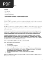 Download Caderno - Andr by Andr Bissoli SN52692243 doc pdf