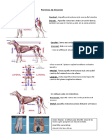 Generalidades (Clase 1)