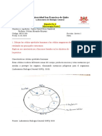 Reporte Biologia General 4