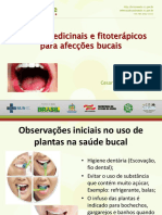 Slides - Plantas Medicinais Para Afecções Bucais