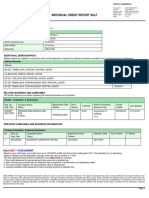 CBM Individual Credit Report (Sample)