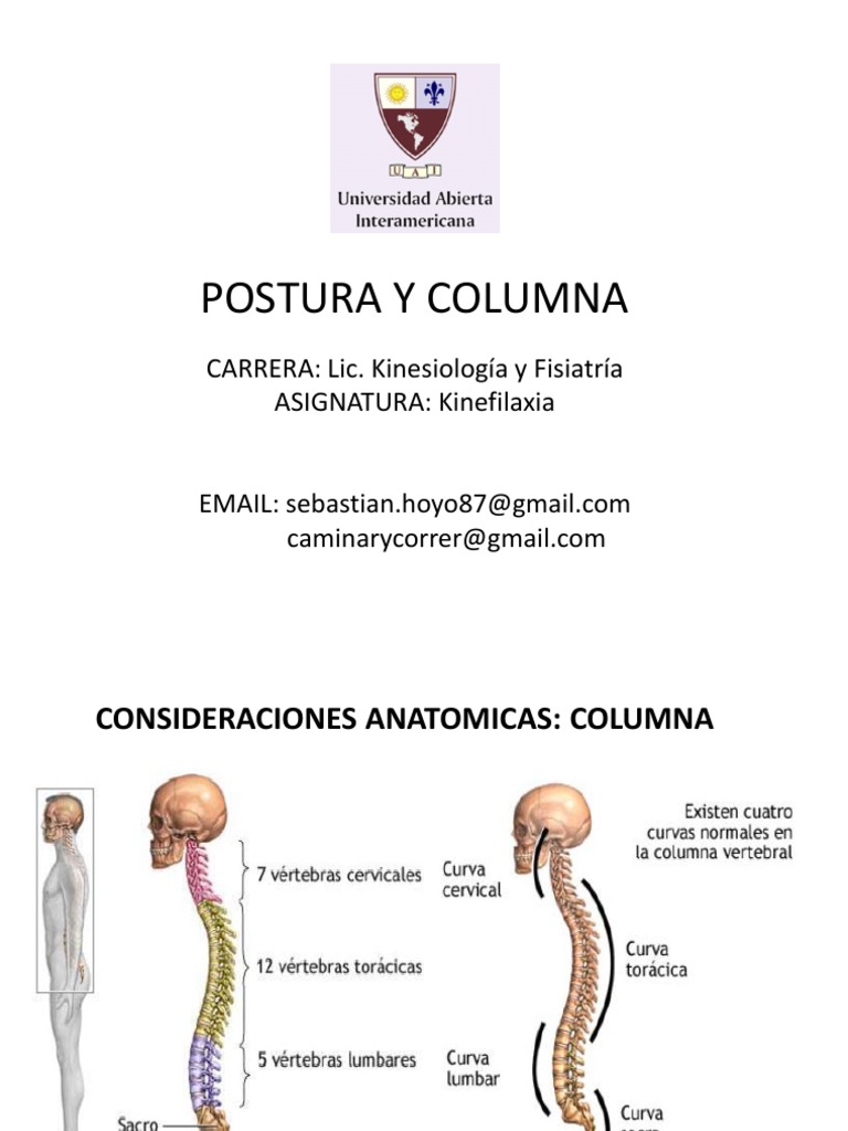 Columna y Postura | PDF | Escoliosis | La columna vertebral