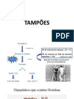 TAMPAO SUPLEMENTO BETA ALANINA