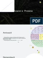 Amino Proteine