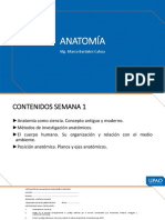 Semana 1 - Anatomía