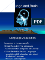 Language and Brain