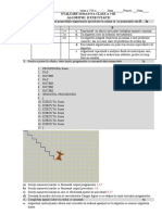 Evaluare Sumativa Algoritmi Executanti Clasa a Viii