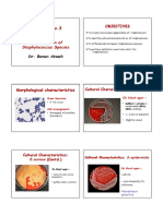 Practical No 3. Staphylococci