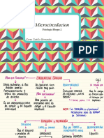 Microcirculacion