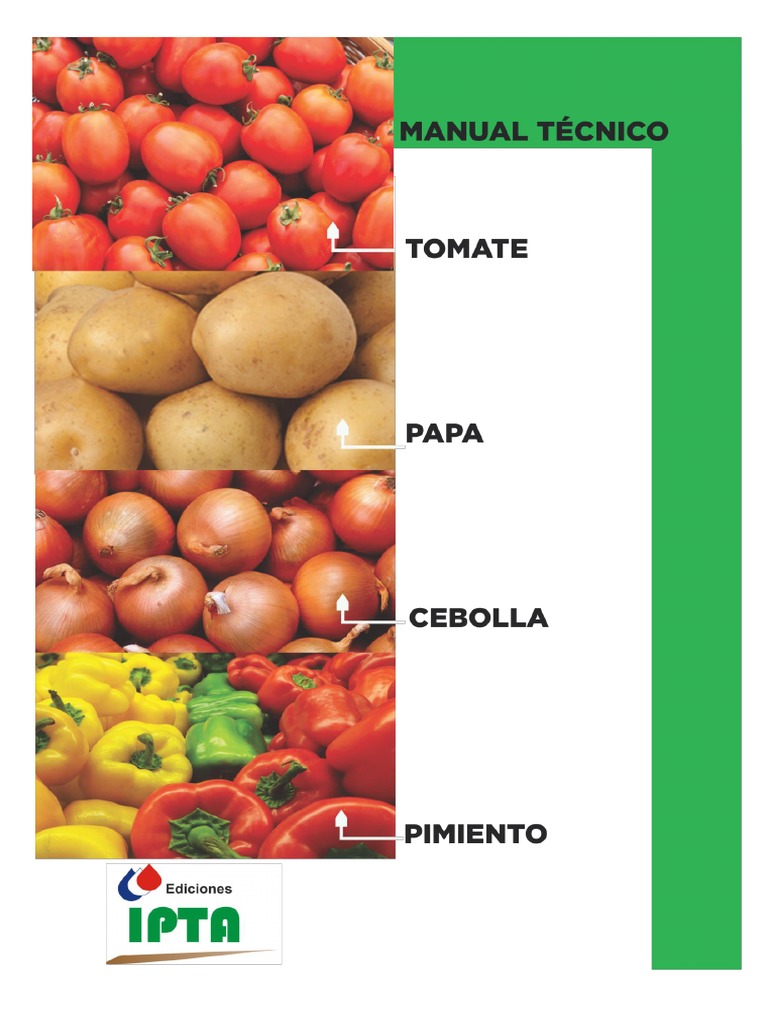 Guía para plantar de forma eficiente trigo, zanahoria, patatas