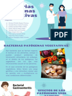 GRUPO 1 Bacteria Patógenas Vegetativas