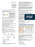 INTEGRACIÓN METABÓLICA Vero Diloreto