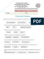 Actividad 2 Unidad 1 S1 Ciclo Del Fosforo