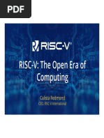 RISC-V New Era