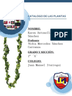 Catalogo de Las Plantas