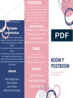 folleto boom y postboom