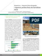 Costos e Ingresos Productivos de Hortalizas Hidropónicas: 1. Antecedentes Locales Del Mercado Hidropónico