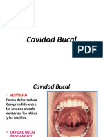 Cavidad Bucal