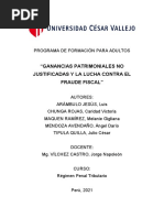 Ganancias Patrimoniales No Justficadas y La Lucha Contra El Fraude Fiscal