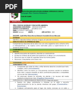 Plan de Clases T.P Cat Fundacion