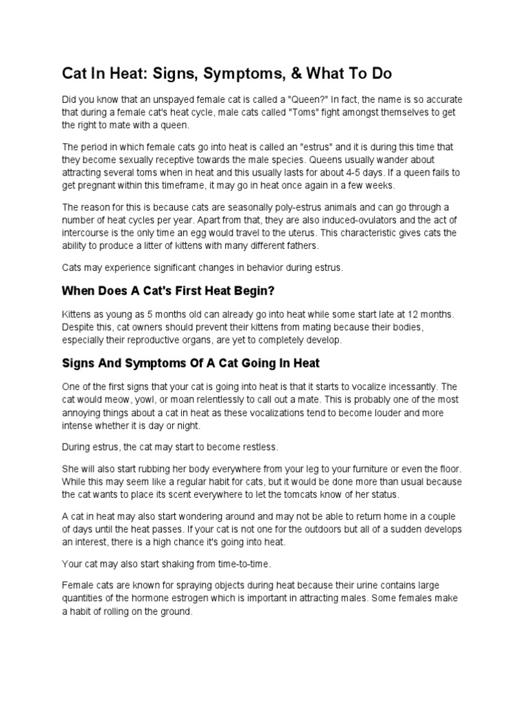 Cat in Heat Signs, Symptons, and What To Do PDF Neutering Cats