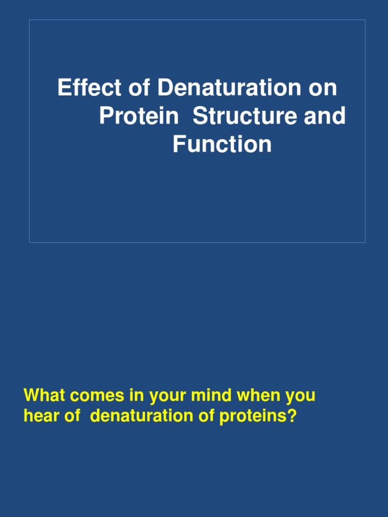 Denaturation of Proteins PDF Denaturation (Biochemistry) Proteins