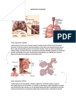 Semiologia Pulmonar