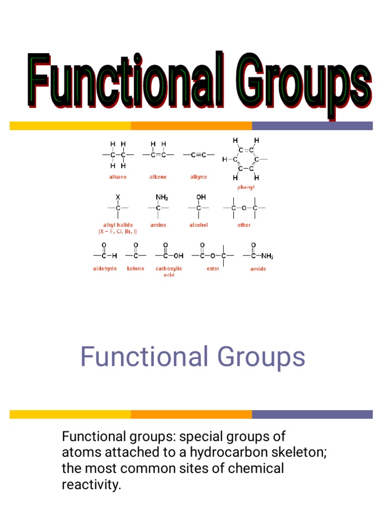 Organic Chemistry Basics | PDF | Alkene | Functional Group