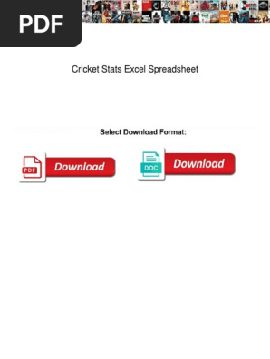 Cricket Stats Excel Spreadsheet