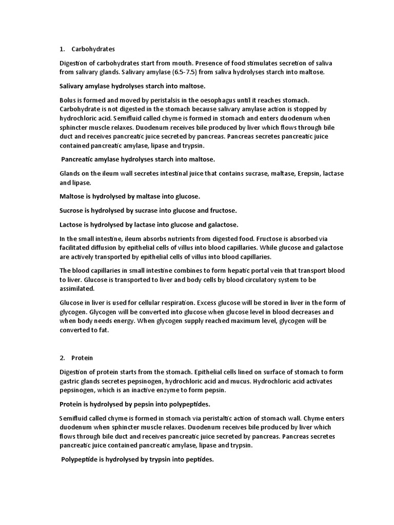 Carbohydrate, Lipid and Protein Essay PDF Pancreas Digestion
