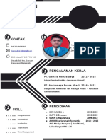 Design CV2