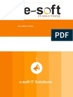 IT Solutions Provider Profile