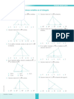 Lineas Notables en El Triangulo