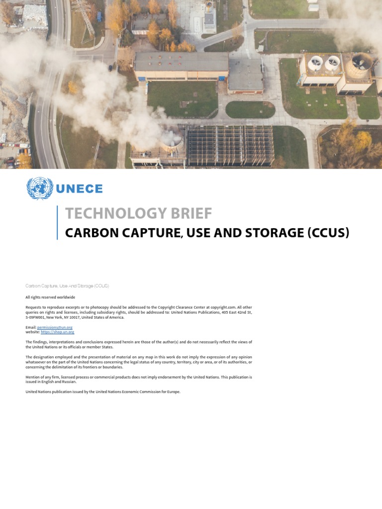 CCUS Brochure - EN - Final | PDF | Carbon Capture And Storage | Carbon ...