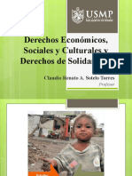 Derechos Económicos, Sociales Culturales y de Solidaridad - Renato Sotelo