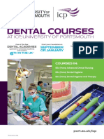 Dental Pathway Flyer