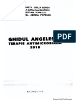 Ghid Angelescu 2018