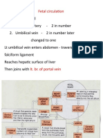 Fetal Circulation New