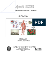 Biology M5 Cellular Respiration