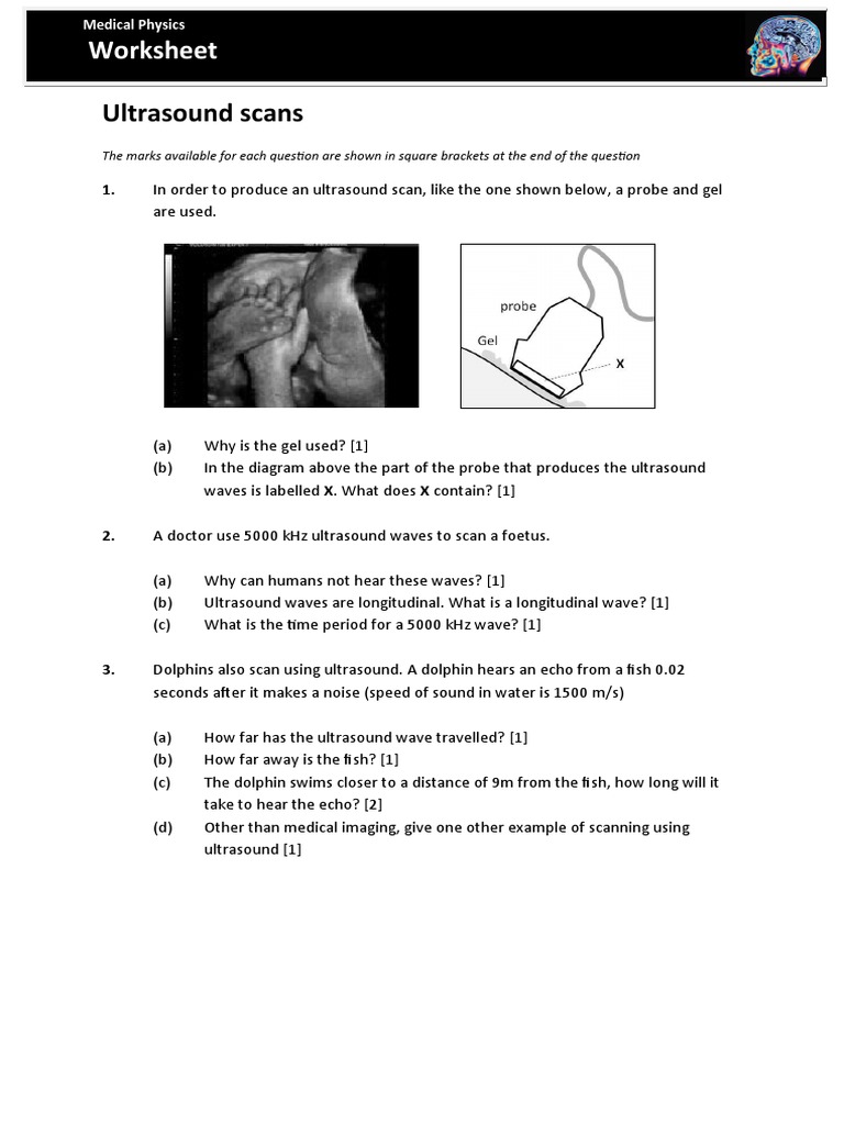 Ultrasound Scans Worksheet 0 PDF