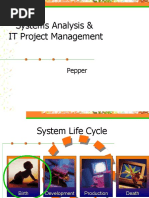 Systems Analysis & IT Project Management: Pepper