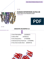 Human Interferon Alpha-2b