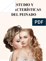 Peinados Caracteristicas