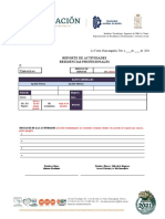 Formato de Reporte o Asesoria Externa