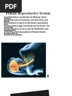 ENNOY Cotton Ē Cap \"Black\" J Issaas v18n1 June 2012 Full Journal | PDF | Technology & Engineering