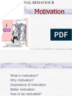 66016953-Motivation