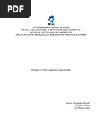 Relatório-apresuntado