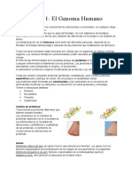 Tema 1 Biologia Genetica Farmacia