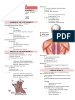 POSTERIOR NECK