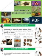 6 - Animales Invertebrados